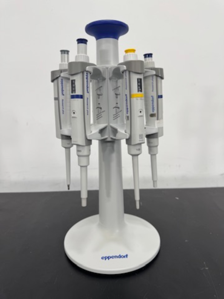 Image of Eppendorf Research Plus Single Channel Pipettes and Stand